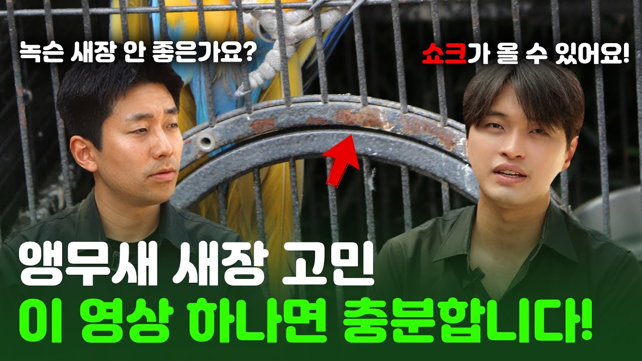 앵무새 새장에 대한 모든 것