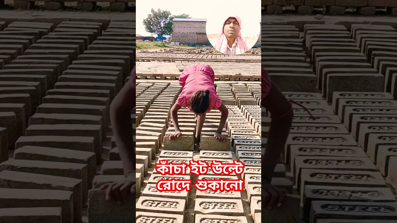 কাঁচা ইট উল্টে রোদে শুকানো 