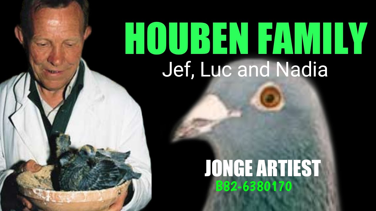#PigeonFancierHistory | Jonge Artiest - HOUBEN FAMILY