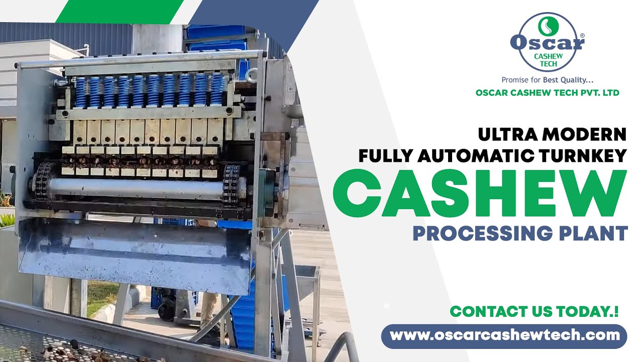 Ultra Modern Fully Automatic Turnkey Cashew Processing Plant by Oscar Cashew Tech