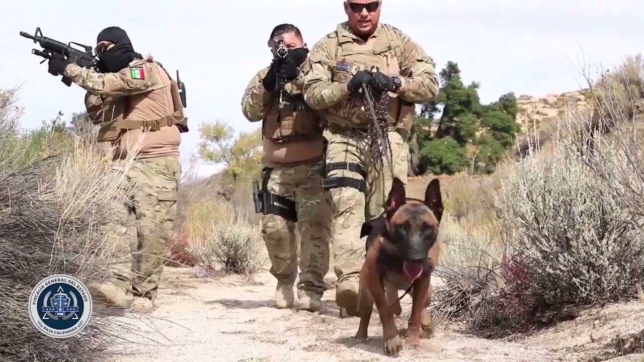 UNIDAD CANINA K9 FGE