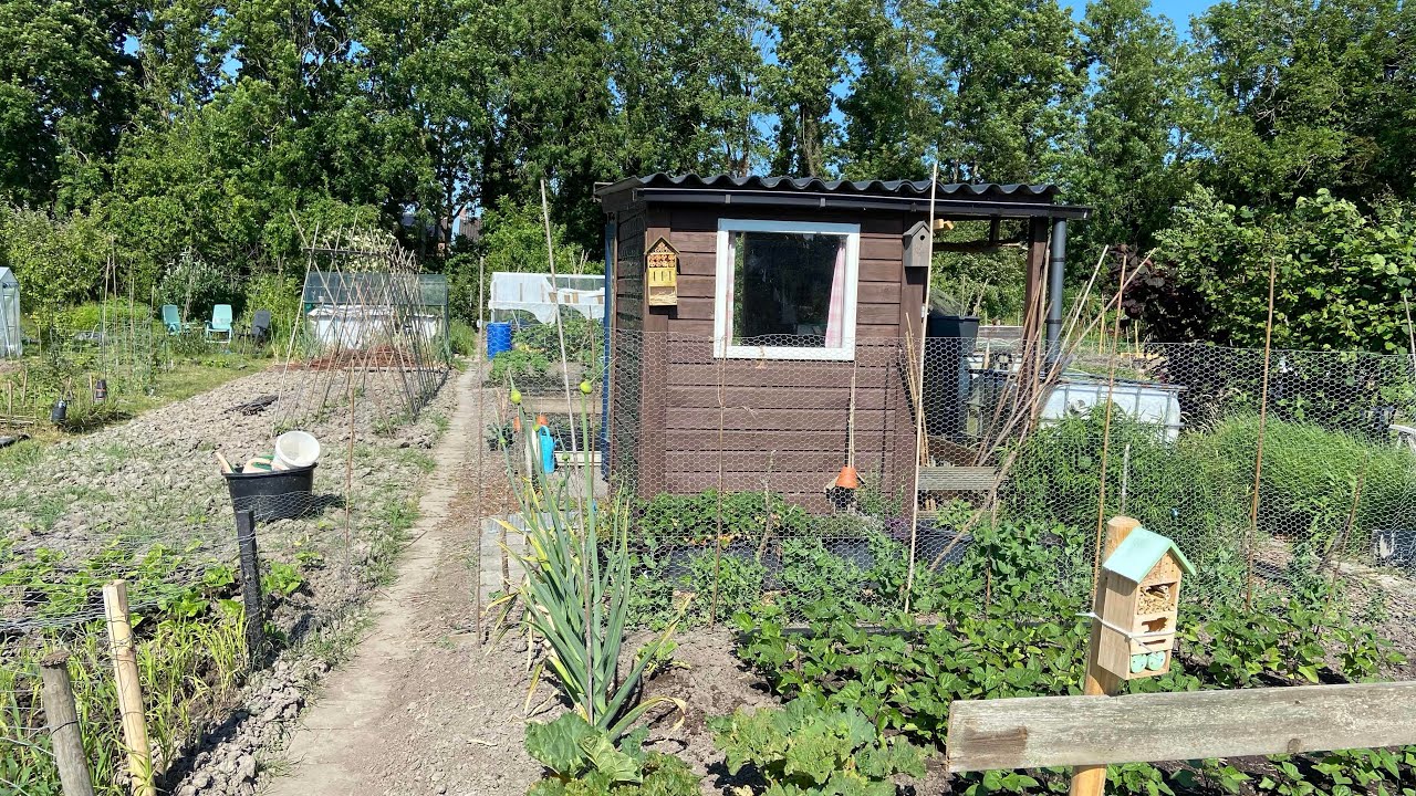 Volkstuin 13 juni 2023