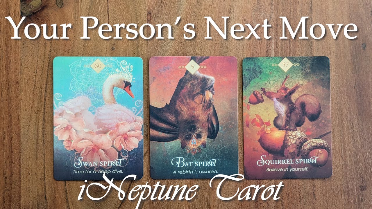 YOUR PERSON'S NEXT MOVE 🌟 Timeless ⏳ Pick a Card 🔮 Tarot Reading 🃏
