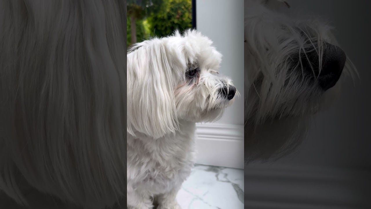 Spacer?? No chyba se śnisz mamcia! 