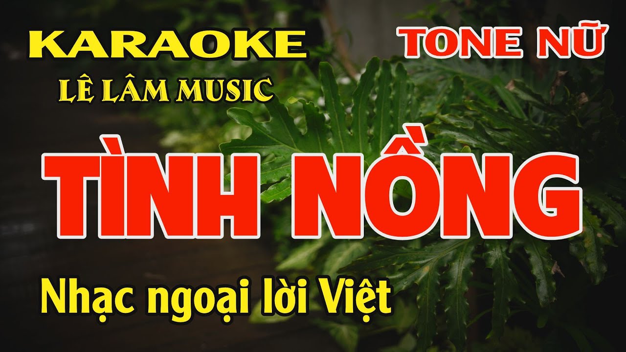 Karaoke Tình Nồng Tone Nữ ( Cm ) Lê Lâm Music