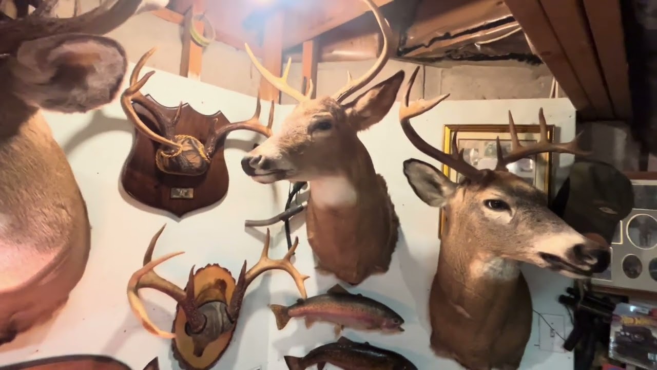 A tour of the man cave, as requested.