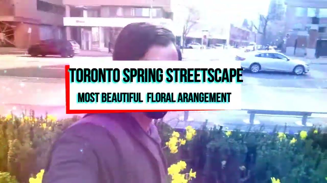 TORONTO SPRING STREETSCAPE - MOST BEAUTIFUL FLORAL ARRANGEMENT