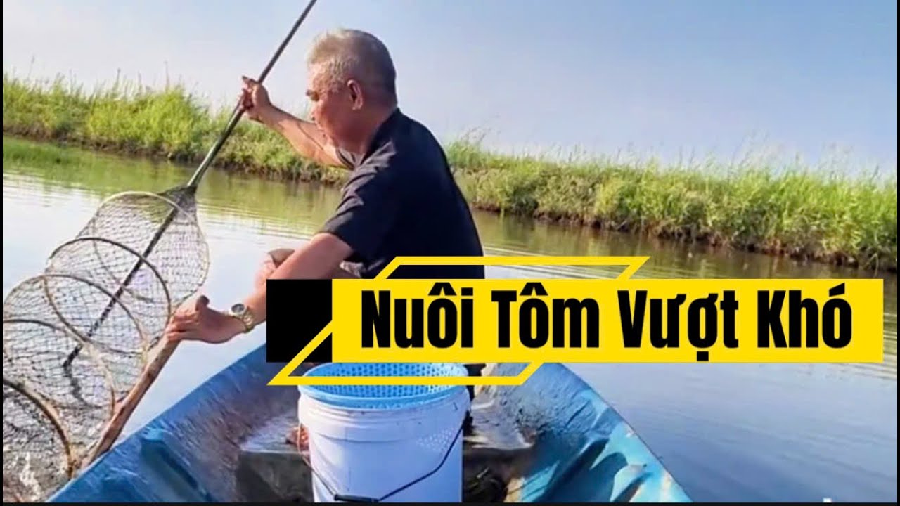 75 NGÀY, 18 CON/KG - BÍ KIẾP NÀO NUÔI TRÚNG 7 NĂM LIỀN TÔM VỀ ZICE LỚN - ĐẤT ÍT NUÔI KHÔNG THAY NƯỚC