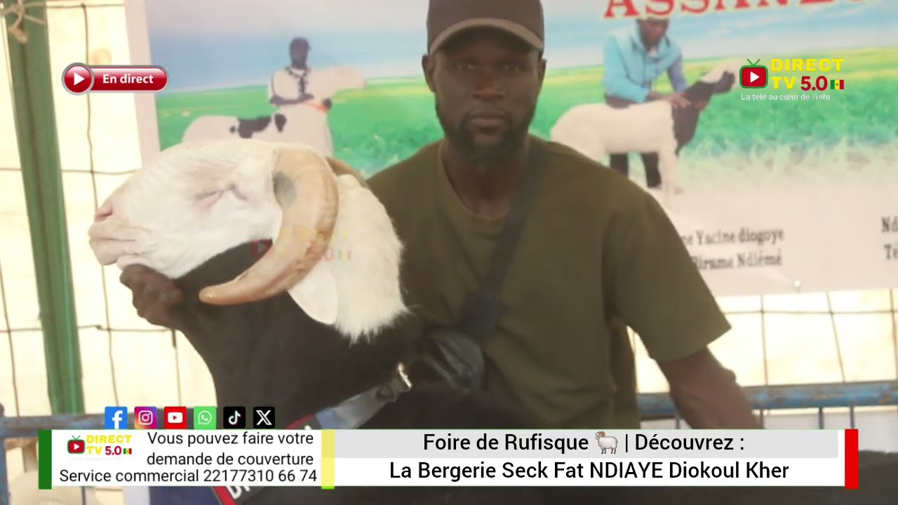 Vrais Ladoums Pur Sang | 4ᵉ Édition de la Foire Départementale de Rufisque –Bergerie Seck Fat Ndiaye