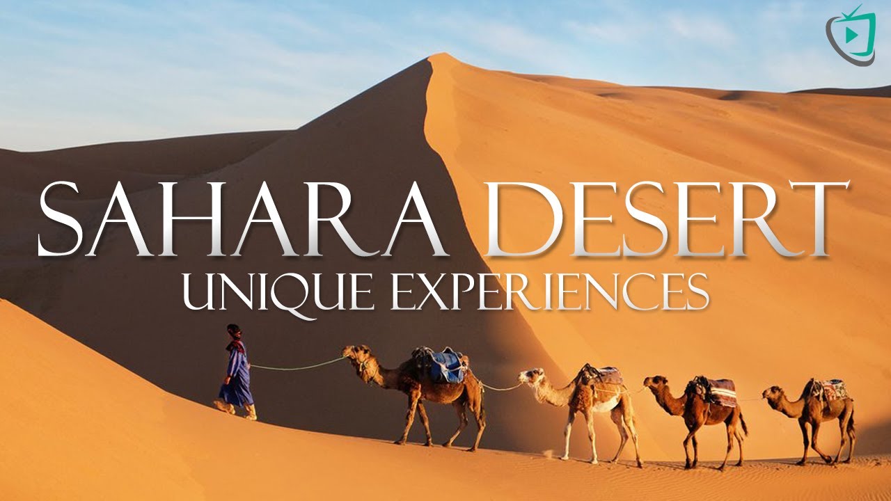 Sahara Desert. Sand dunes, Sunset & Sunrise, Camel ride and The magic of the sahara desert  by night