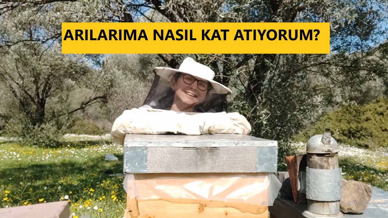 Arılarıma Nasıl Kat Attım? / Mart ayında arılar kata çıktı #api #arıcılık #beekeeping #aricilik