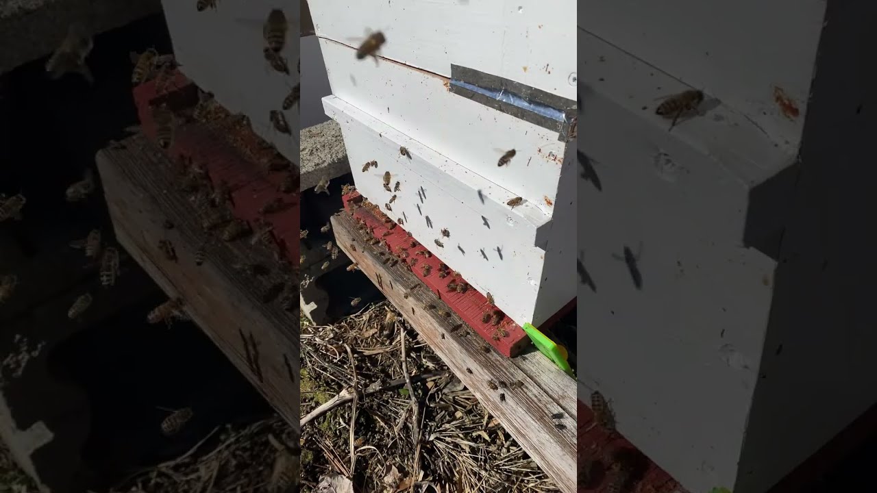 Pacific Northwest Outdoors is live!