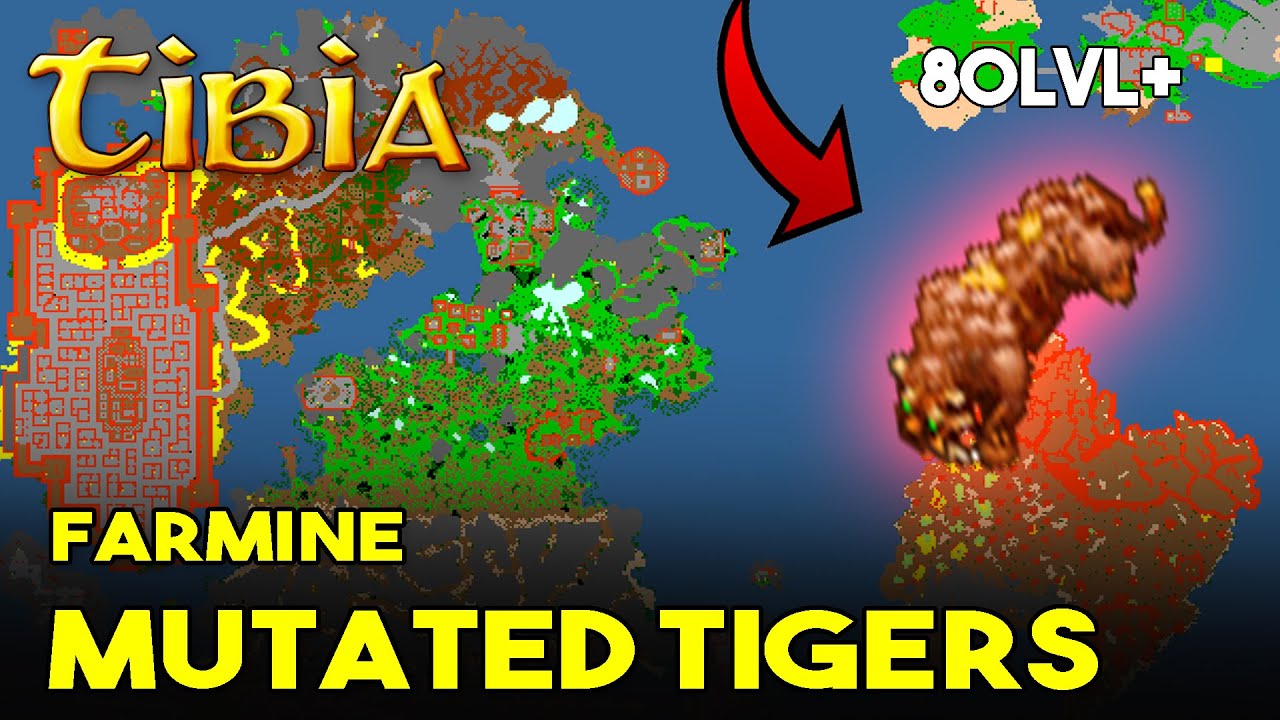 ZMUTOWANE TYGRYSKI Z PROFITEM NA ZAO - Tibia - Mutated Tiger Zao Jak dojść?!