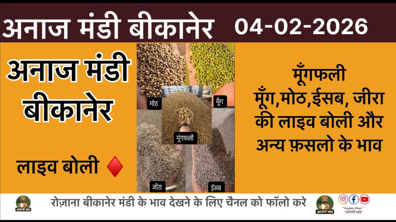 सभी फ़सलो की लाइव बोली अनाज मंडी बीकानेर से ! 04-02-2026! #mungfali #bikanermandi #aapnobhav #guar 