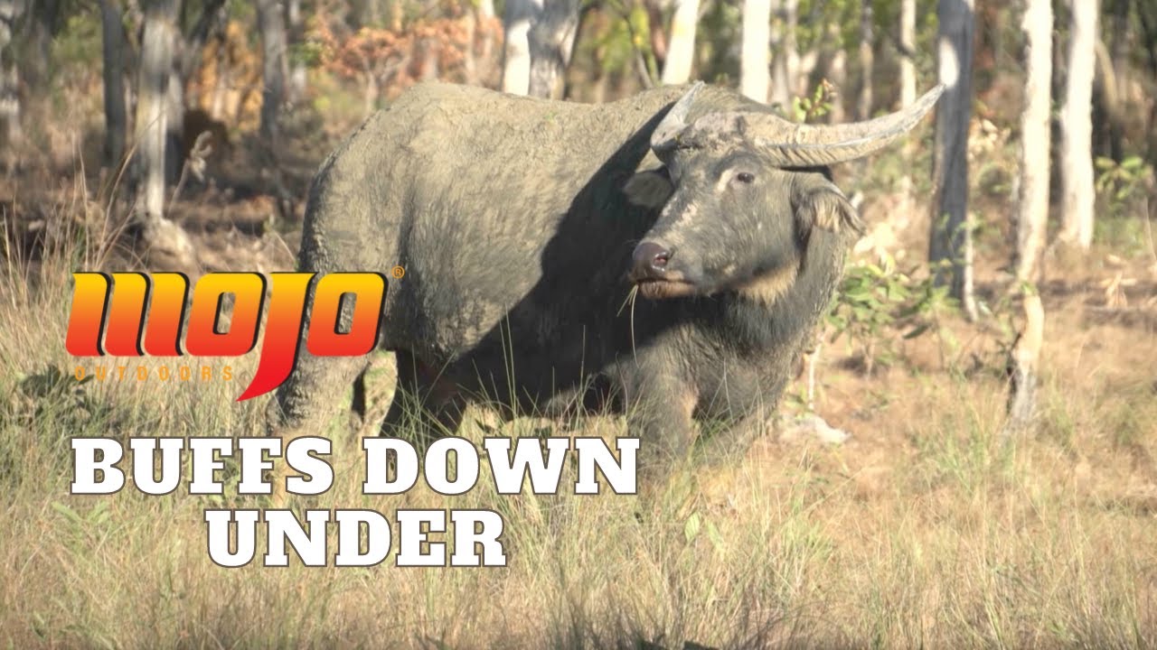 Water Buffalo Hunt in the Land Down Under [ One Week in the Australian Outback ]