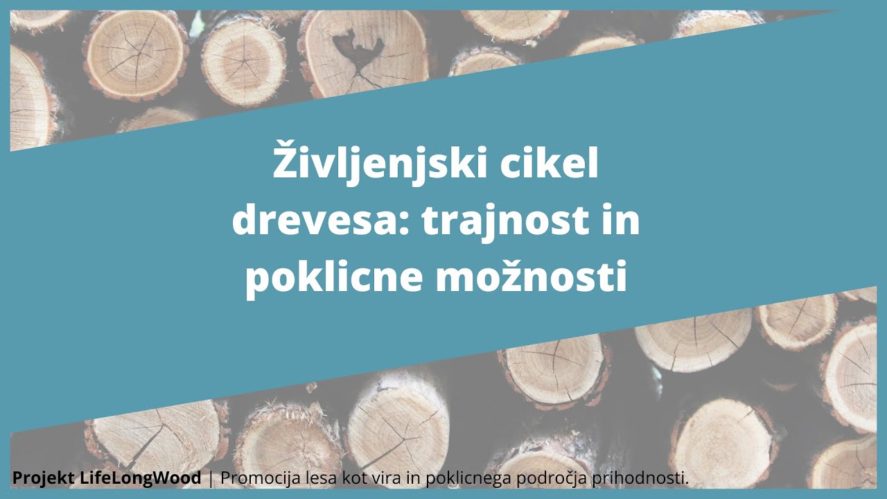 Življenjski cikel drevesa: Kako les kroji našo prihodnost | Interreg SI-AT LifeLongWood