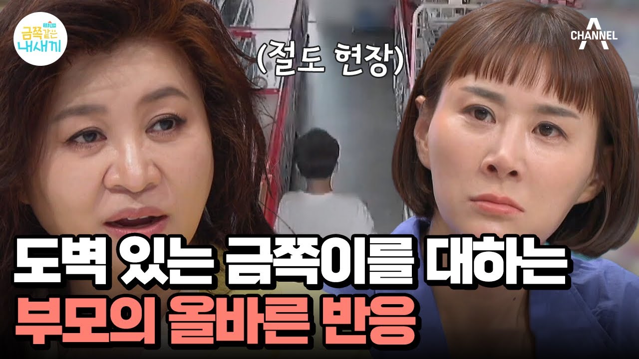 ※실제 상황※ 물건 훔치는 금쪽이 영상 공개!! 절도를 목격한 부모의 올바른 반응 | 요즘 육아 금쪽같은 내새끼 196 회