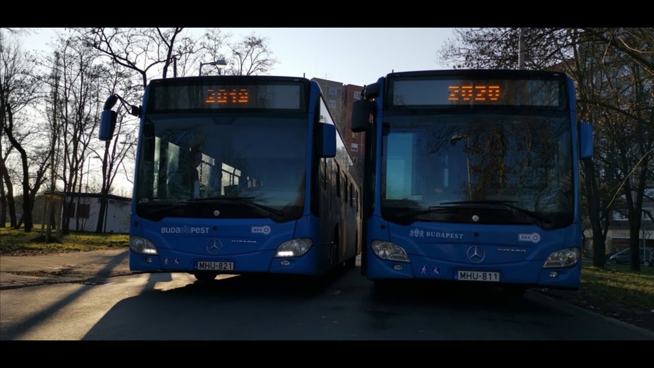 104-es busz: Rákospalota, Kossuth utca - Dunakeszi, Auchan áruház (Traffic Kamera)