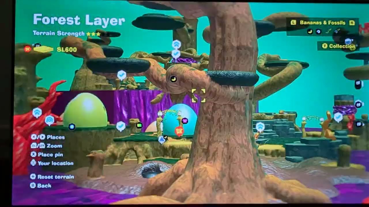 Ep.7 - Forest Layer Part One