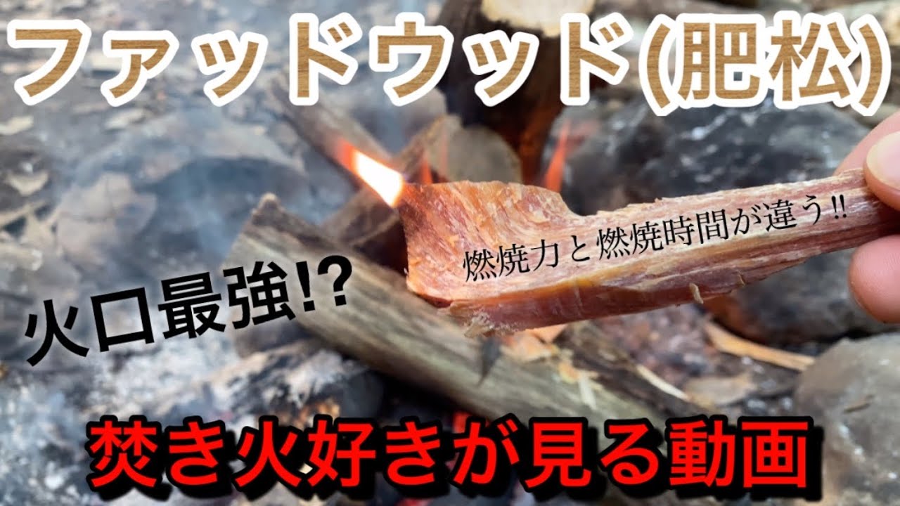 火口(ほくち)最強⁉️【森の宝石ファットウッド】ファイヤースターター(メタルマッチ)で火熾し！