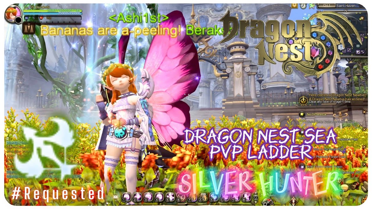 Silver Hunter PVP Ladder ~ Dragon Nest SEA #921 -Requested-