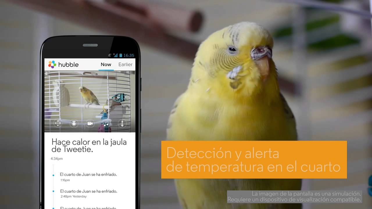 Focus 85 - C&aacute;maras de seguridad para el hogar