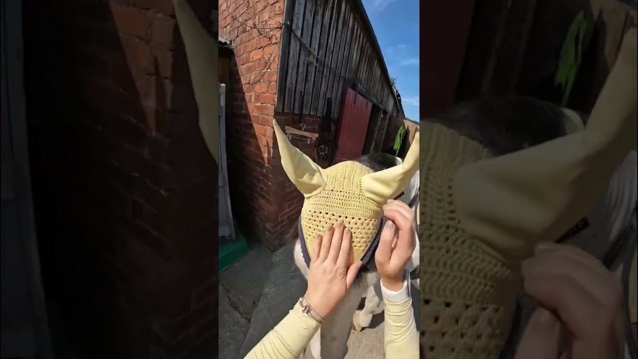 Tack up my pony with me for a butter yellow ride 🐴🧈 #tackupwithme #asmr