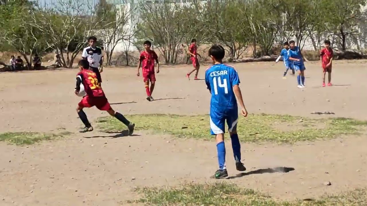 Esc.Italia vs felinos 1t