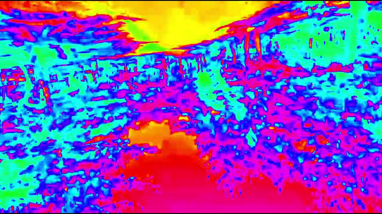 INSAINT fièvre du voyage VIDEO EDIT