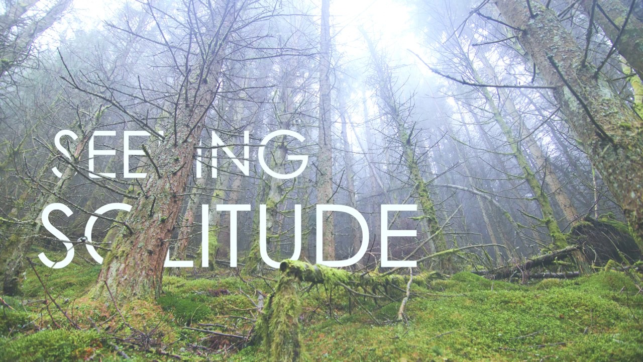 Seeking Solitude