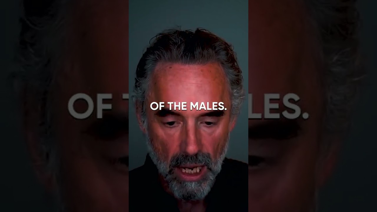 How ANTISOCIAL People are Formed - Jordan Peterson