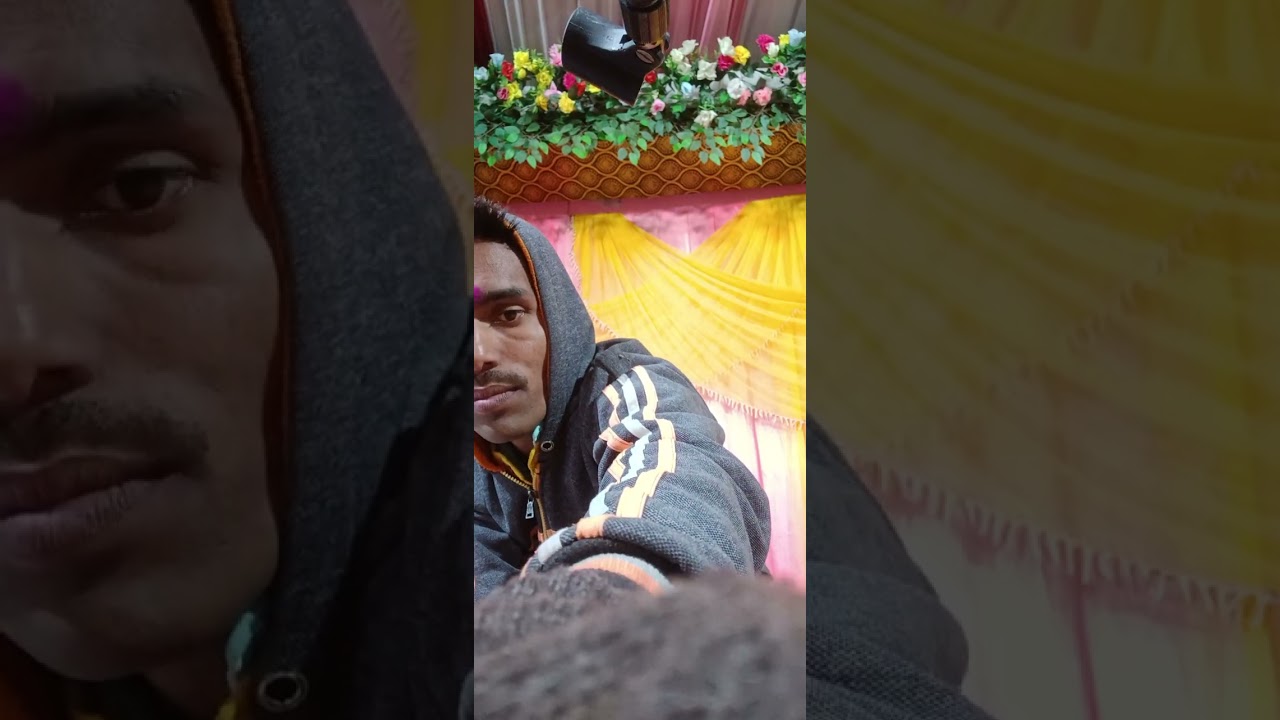 पिंजरा ले बोले मैना