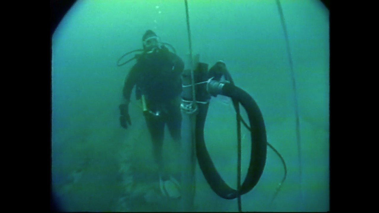 Investigation of an Early Holocene forest discovered in southern Lake Michigan