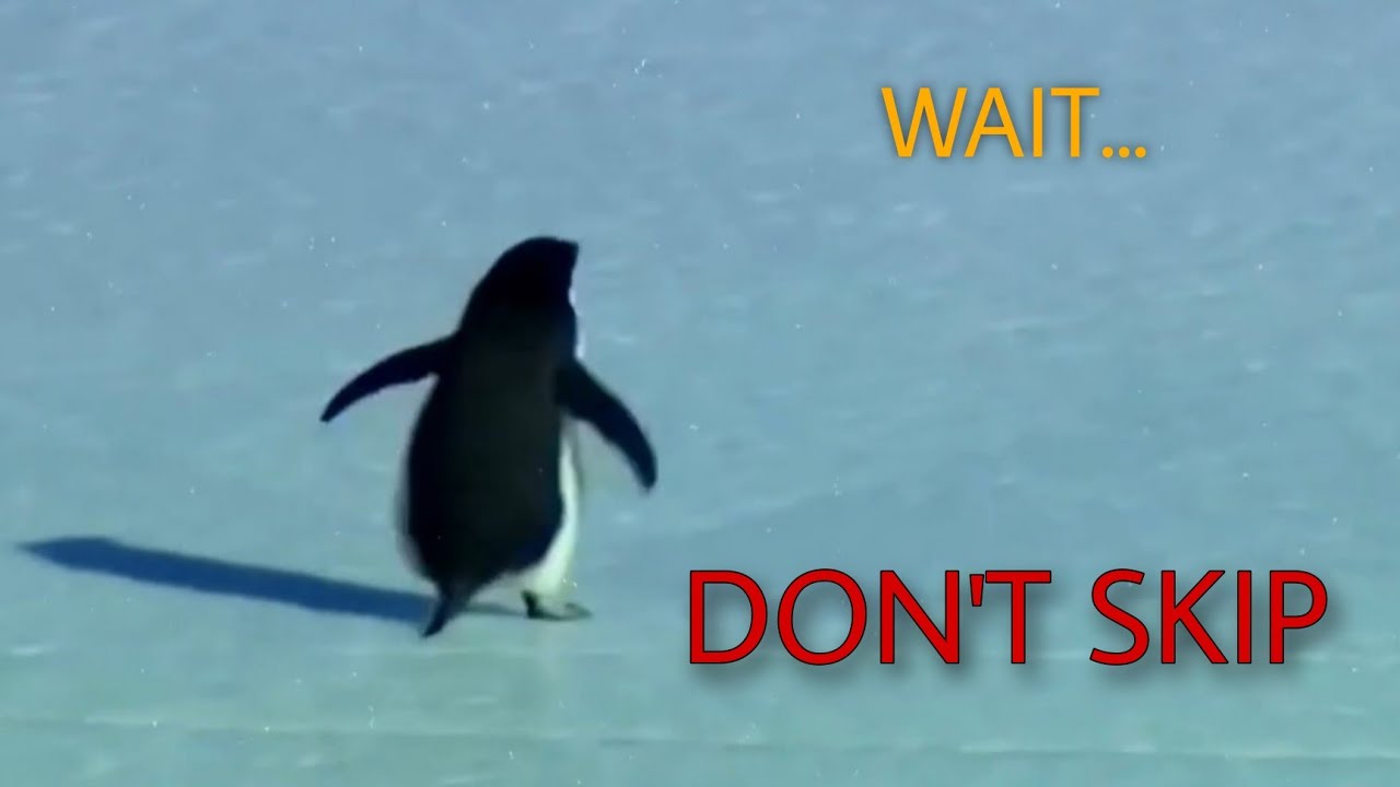 Iss Penguin Ko Last Tak Dekho... Sach End Mein Pata Chalega ( Don't Skip ) 