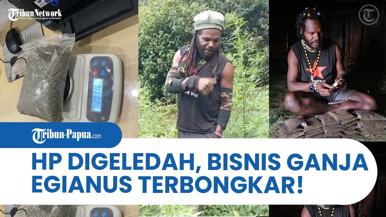 HP Egianus Kogoya Digeledah, Bisnis Pimpinan KKB Hebohkan Publik!