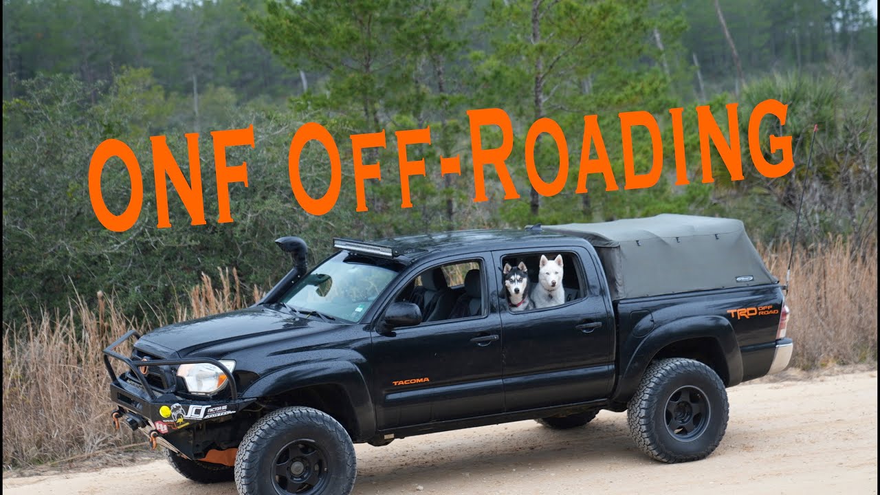 Off Roading Fun in The Ocala National Forest
