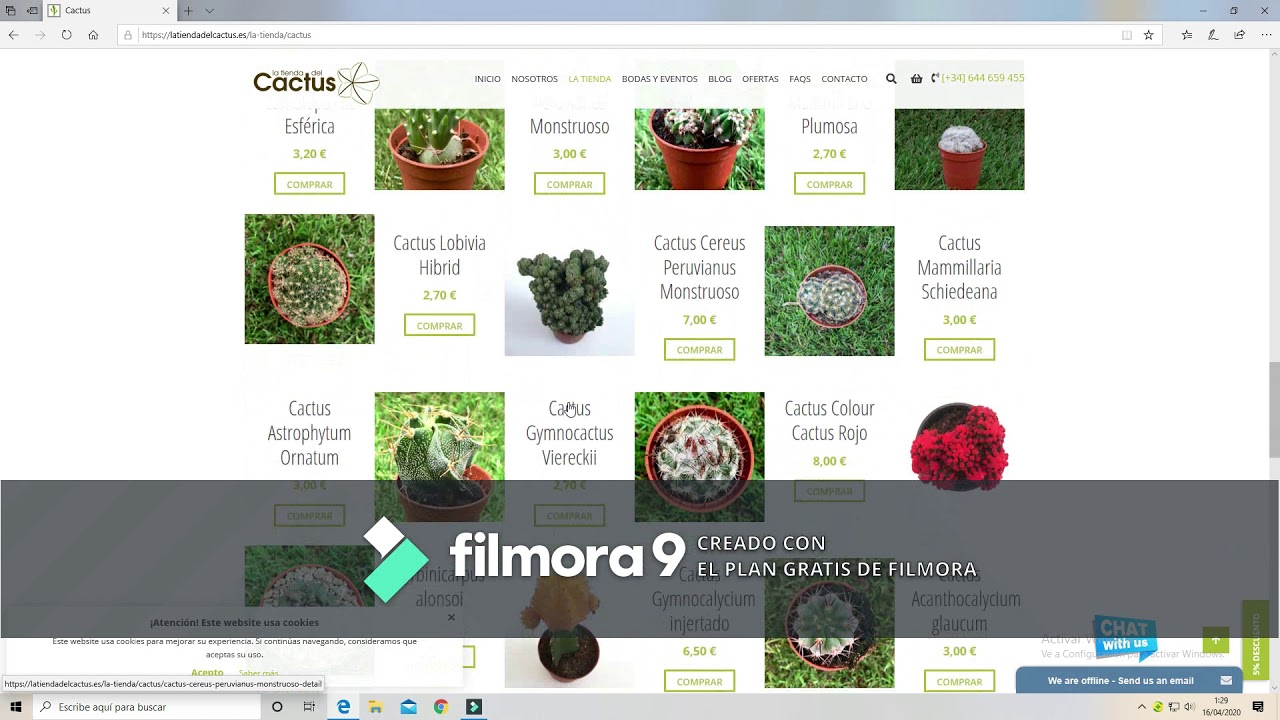 donde comprar cactus y suculentas por Internet