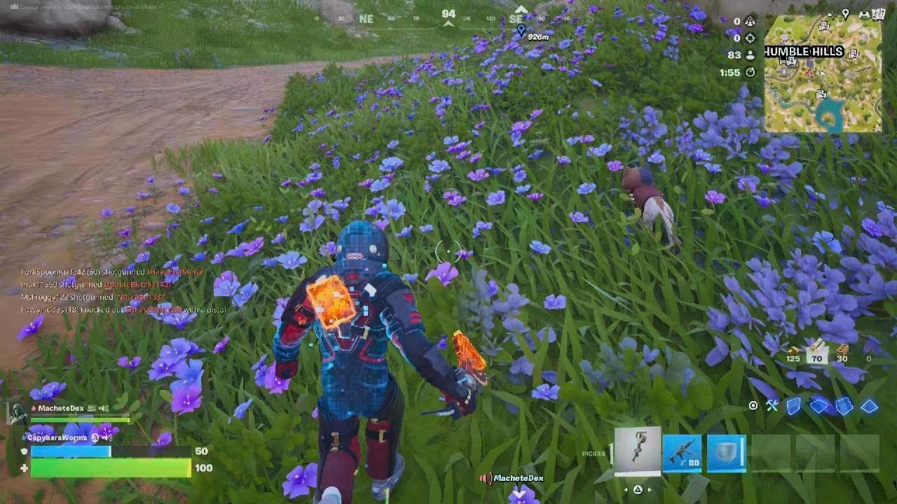 I played Fortnite (and won)