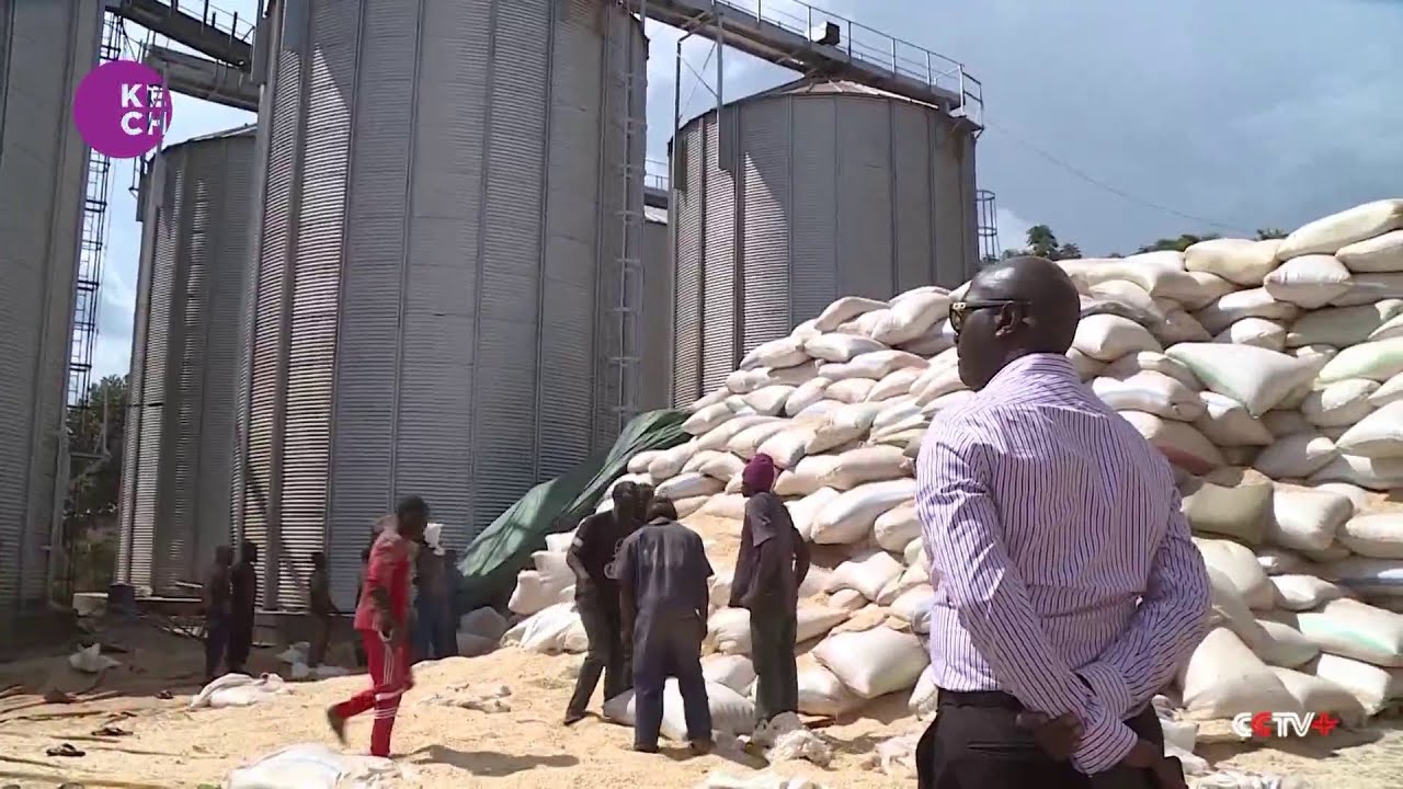 Contamination Issues Hurt Uganda's Grain Exports