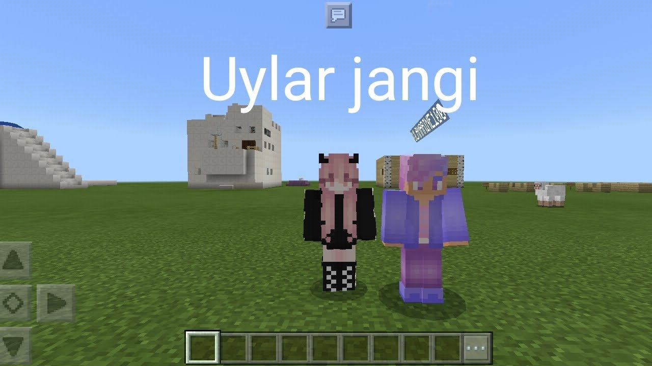 Uylar jangi