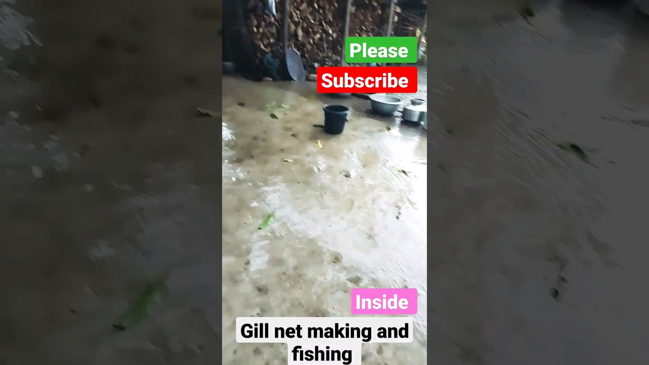 Nadi pe machli pakad na