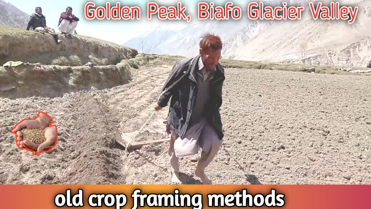 Travel to the last valley of Pakistan|old farming methods|Golden Peak valley|adventure vlogs