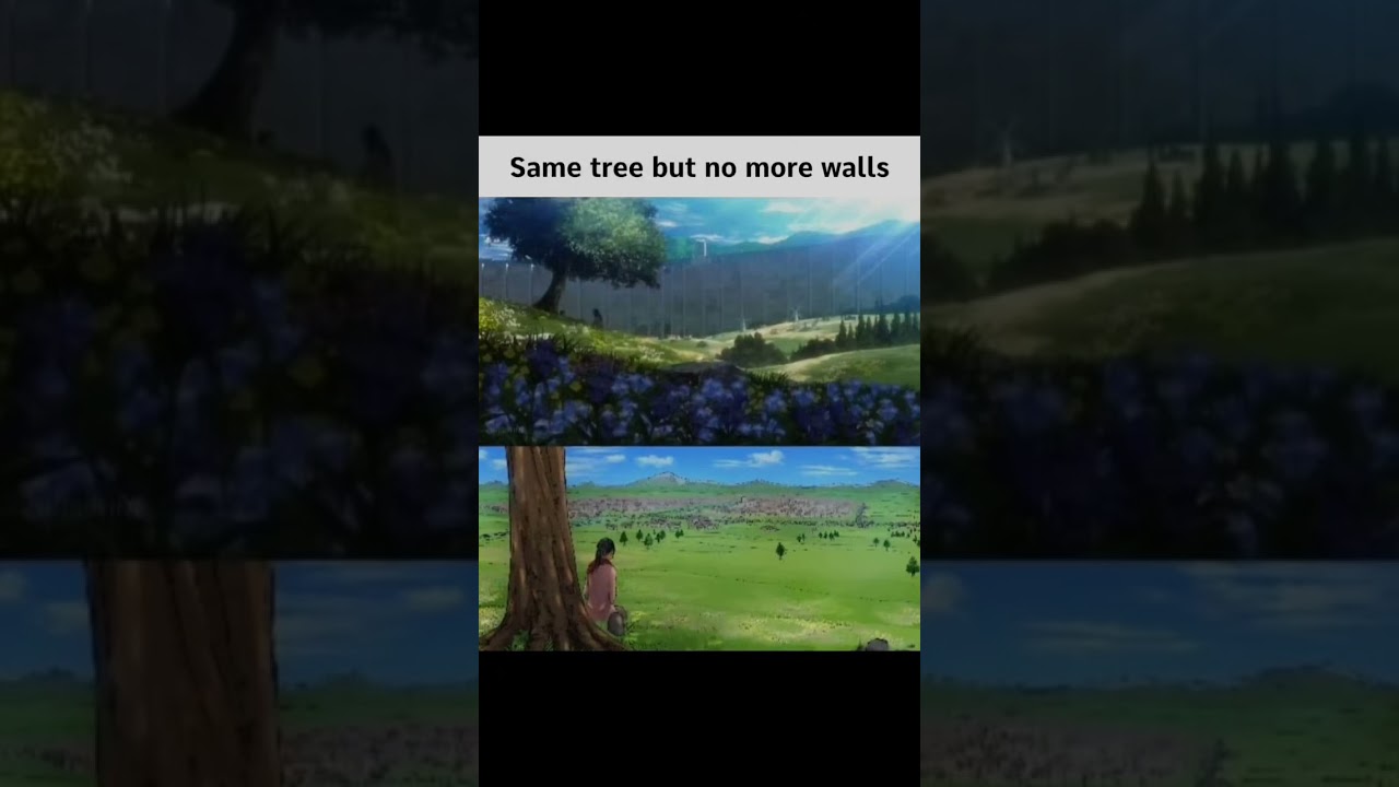Same tree but no more walls #anime #attackontitan #aot