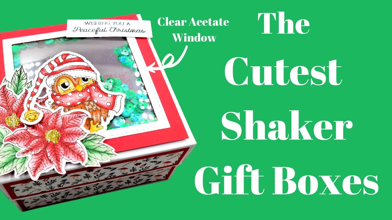 Cute Shaker Packaging Ideas