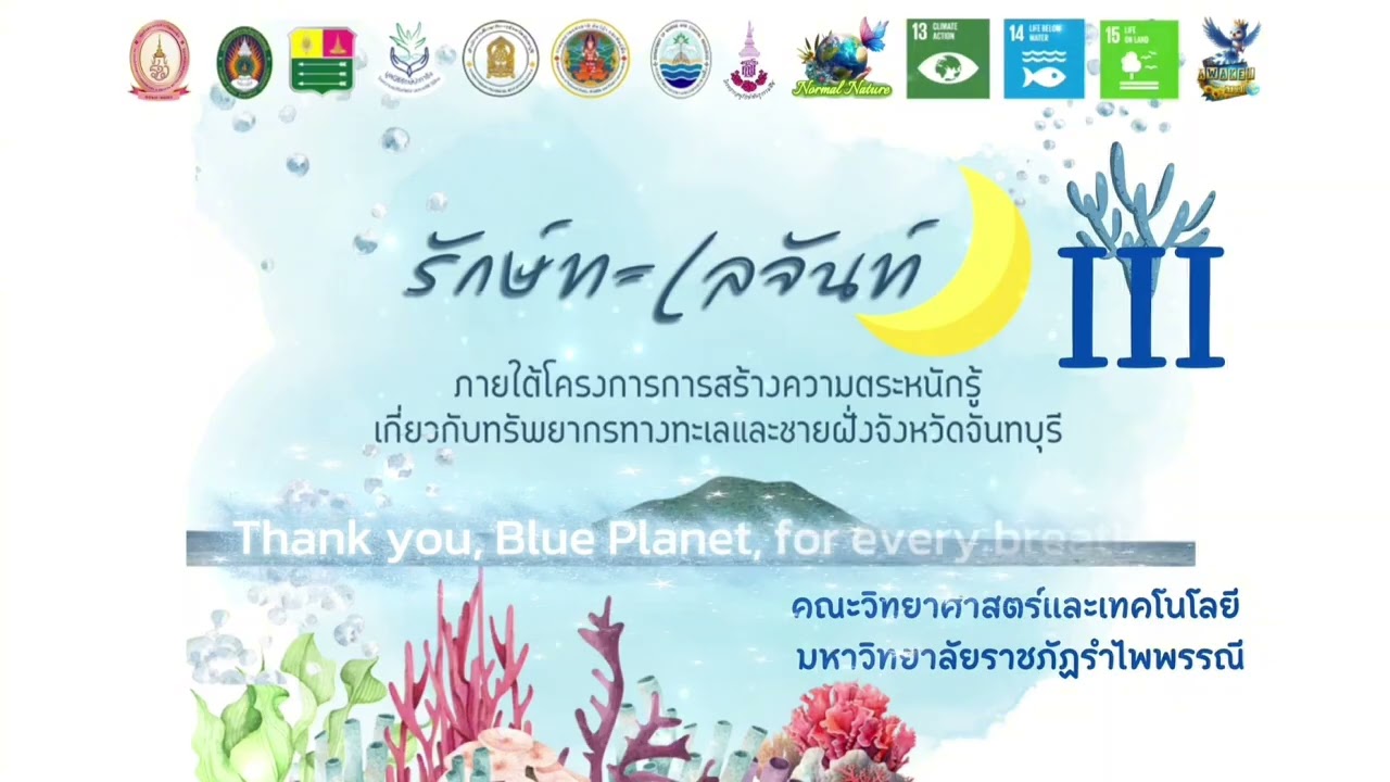 รวมเพลง 