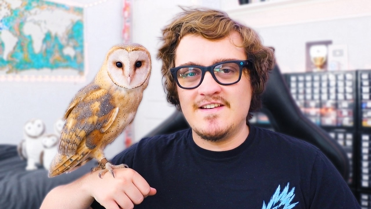Happy Owl Day!