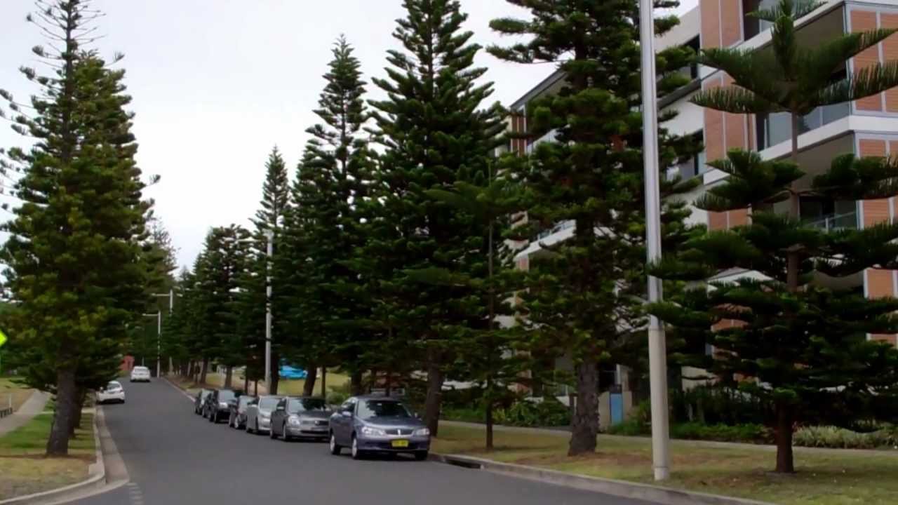 Little Bay - HD