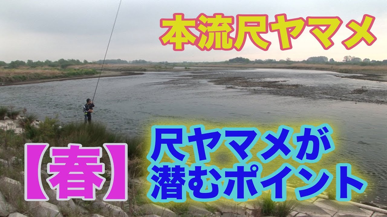 本流尺ヤマメ 【春】尺ヤマメが潜むポイント　Satoshi Inoue Mainstream scale Yamame spring, summer and autumn fight