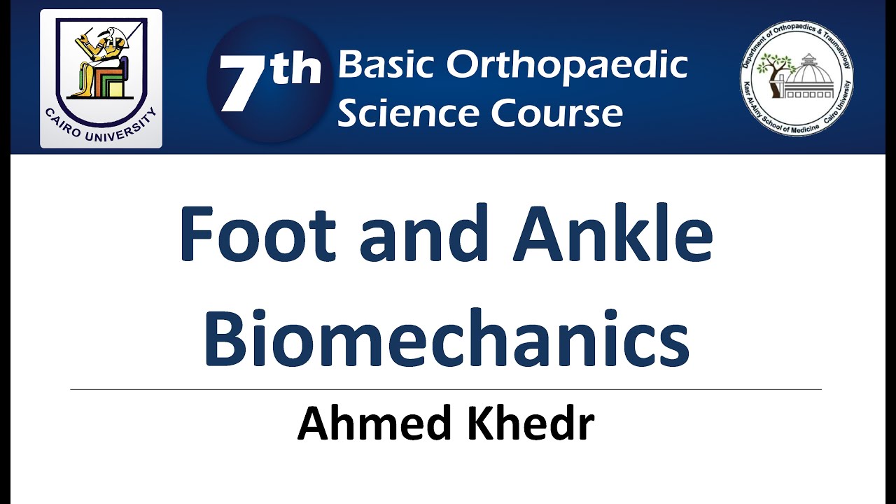 Foot and Ankle Biomechanics