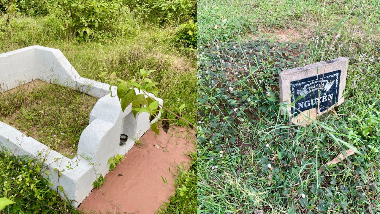 Join us in cleaning up the deep graves inside the heavily damaged tall trees.